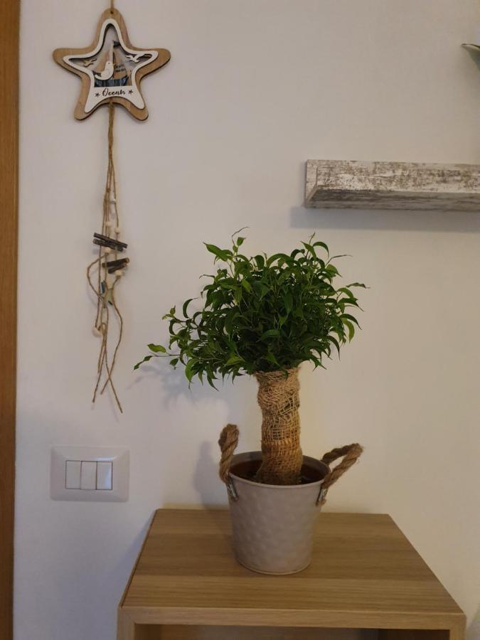Bella Alba Apartment On The Beach อัลบา อาดริอาติกา ภายนอก รูปภาพ